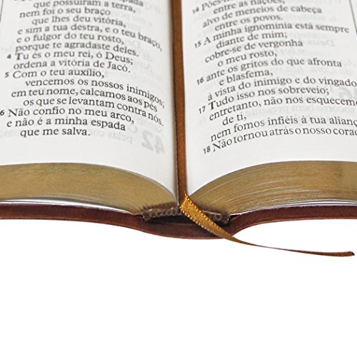Bíblia Sagrada ARA, Letra Gigante, com Índice — Capa Couro Sintético Marrom Claro