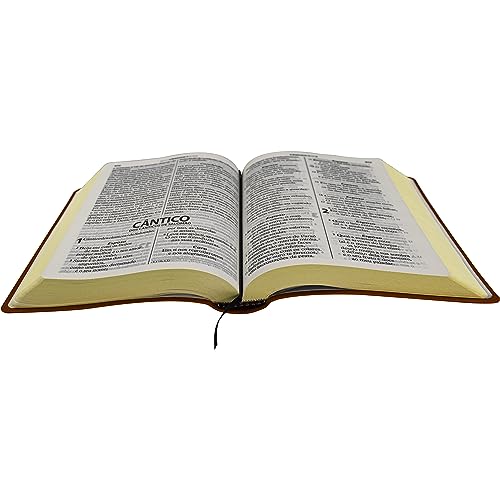 Bíblia Sagrada ARA para Mulher, Letra Gigante — Capa Couro Sintético Vermelha