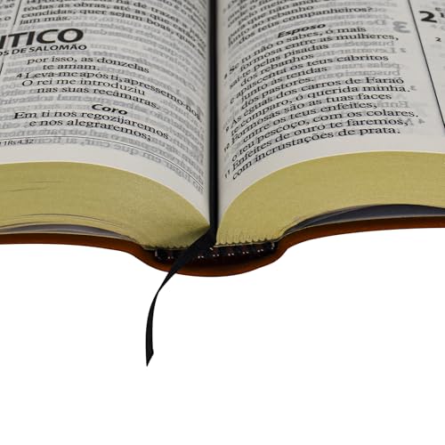 Bíblia Sagrada ARA para Mulher, Letra Gigante — Capa Couro Sintético Vermelha