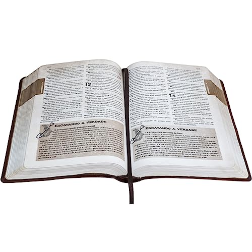 Bíblia das Descobertas para Adolescentes NTLH, Letra Regular, com Mapa — Capa Couro Sintético Marrom