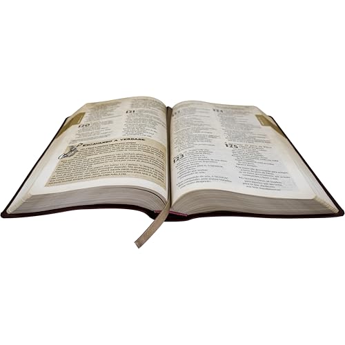Bíblia das Descobertas para Adolescentes NTLH, Letra Regular, com Mapa — Capa Couro Sintético Rosa