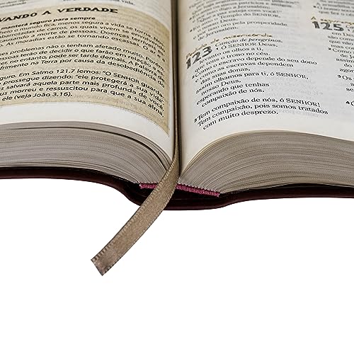 Bíblia das Descobertas para Adolescentes NTLH, Letra Regular, com Mapa — Capa Couro Sintético Rosa